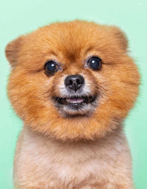 半身形象照